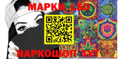 стаф Нальчик