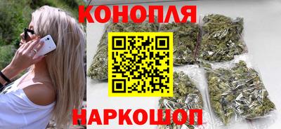 стаф Нальчик