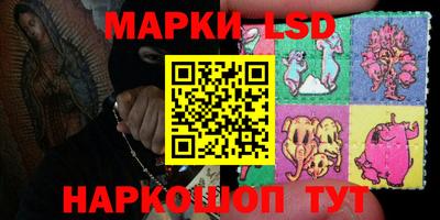 стаф Нальчик