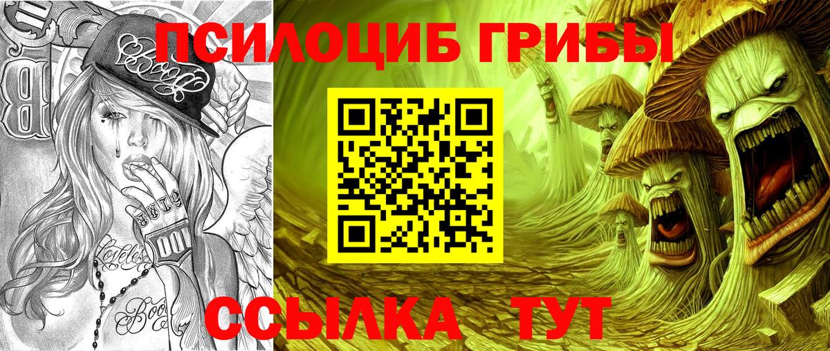 Галлюциногенные грибы прущие грибы Черняховск