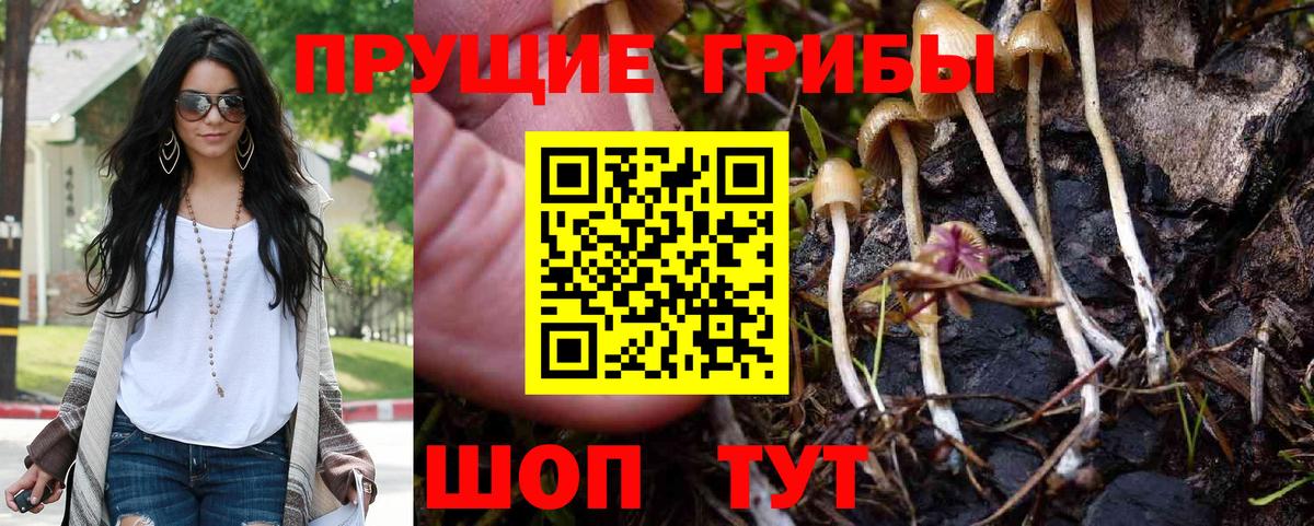 Псилоцибиновые грибы MAGIC MUSHROOMS  цена наркотик  Черняховск  Галлюциногенные грибы мицелий  Вход с VPN 